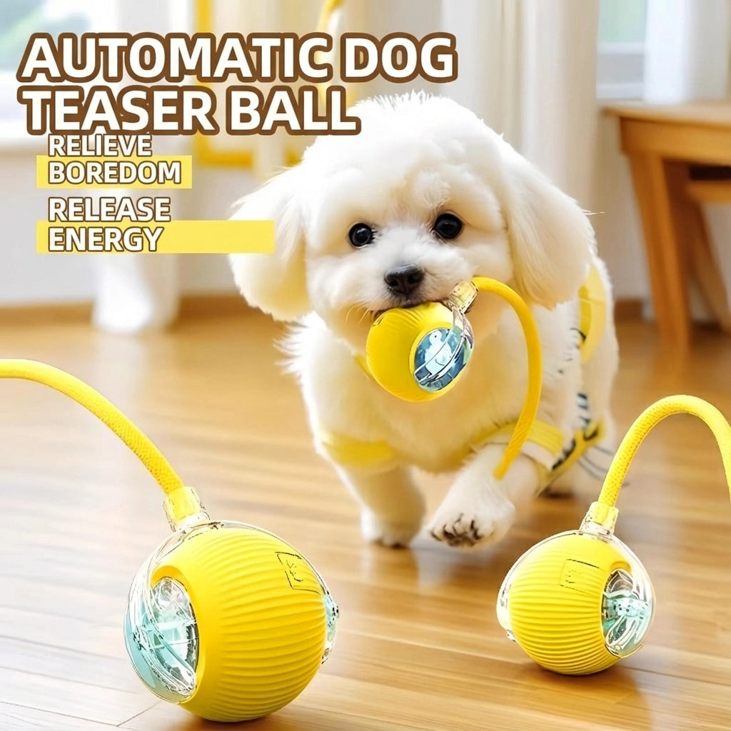 Smart Interactive Dog Toy Ball – Automatic Self-Play, Chew-Resistant, Anxiety Relief for Puppies