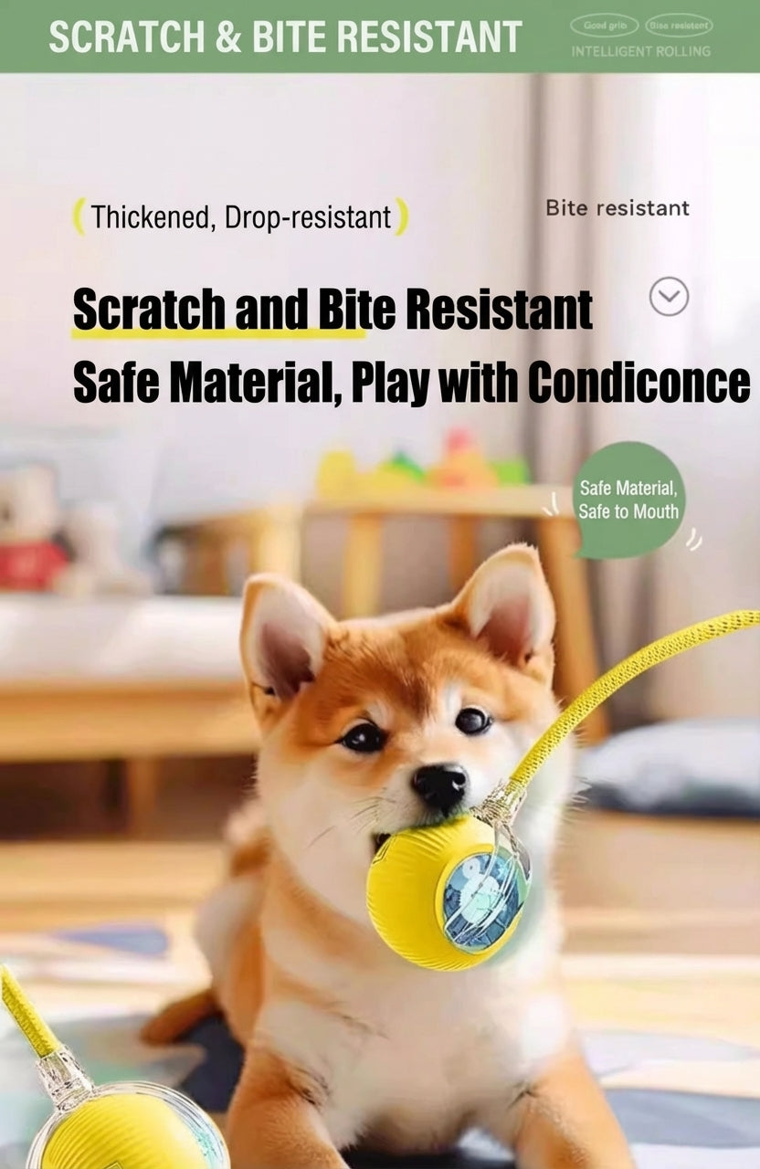 Smart Interactive Dog Toy Ball – Automatic Self-Play, Chew-Resistant, Anxiety Relief for Puppies
