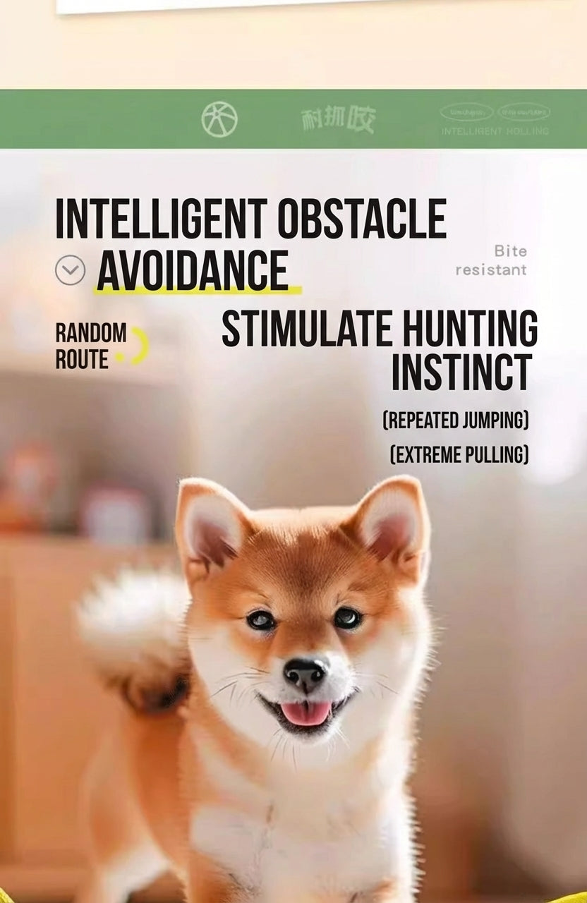 Smart Interactive Dog Toy Ball – Automatic Self-Play, Chew-Resistant, Anxiety Relief for Puppies