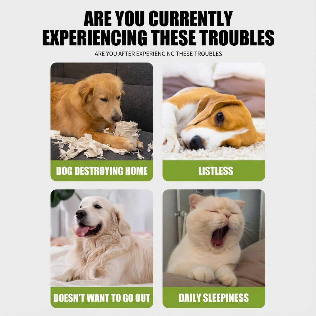 Magic UFO Transforming Pet Ball – Interactive Bouncing Light Toy for Dogs & Cats (Durable, Chew-Resistant, Self-Entertainment)